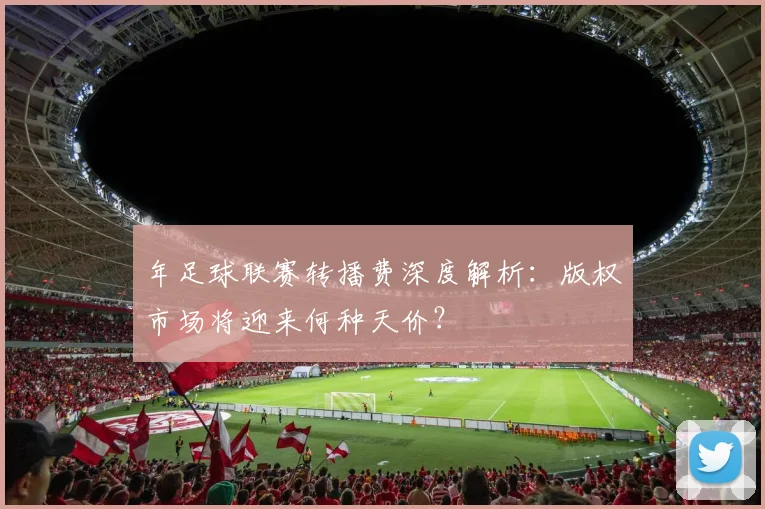 年足球联赛转播费深度解析：版权市场将迎来何种天价？