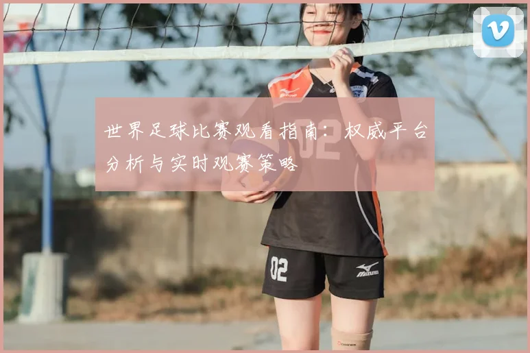 世界足球比赛观看指南:权威平台分析与实时观赛策略