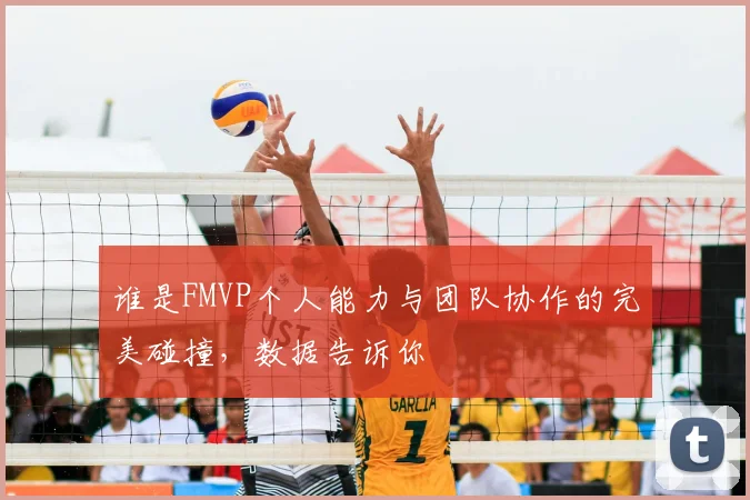 谁是FMVP个人能力与团队协作的完美碰撞，数据告诉你