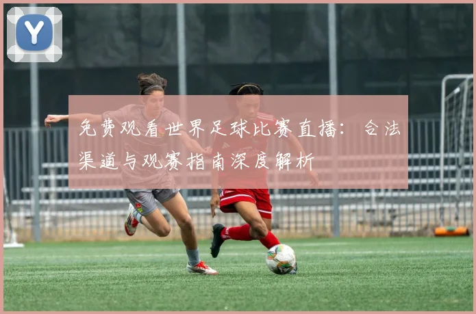 免费观看世界足球比赛直播：合法渠道与观赛指南深度解析